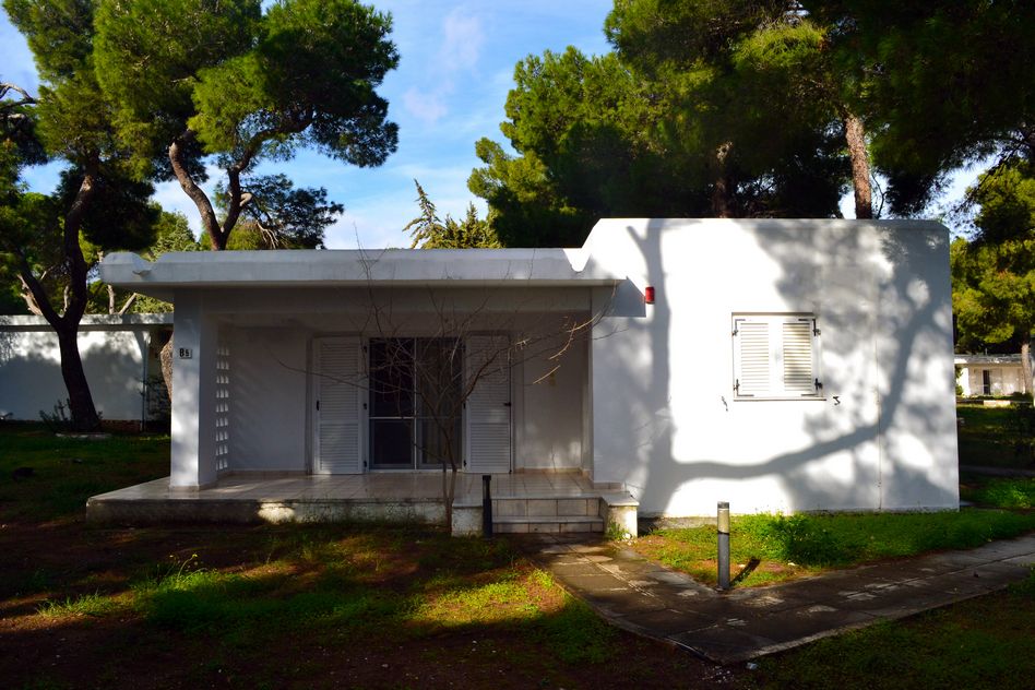 Μπανγκαλόου ανάμεσα στα πεύκα